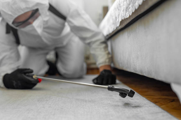 Professional Termite Control technician working in Corinth, TX